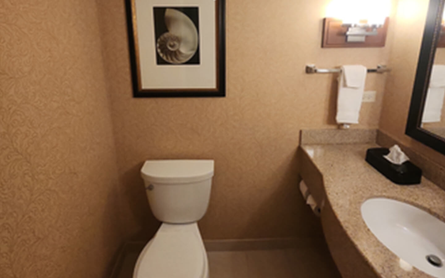hilton-garden-inn-hotel-renovation-in-palm-coast-florida-before-view-o-two